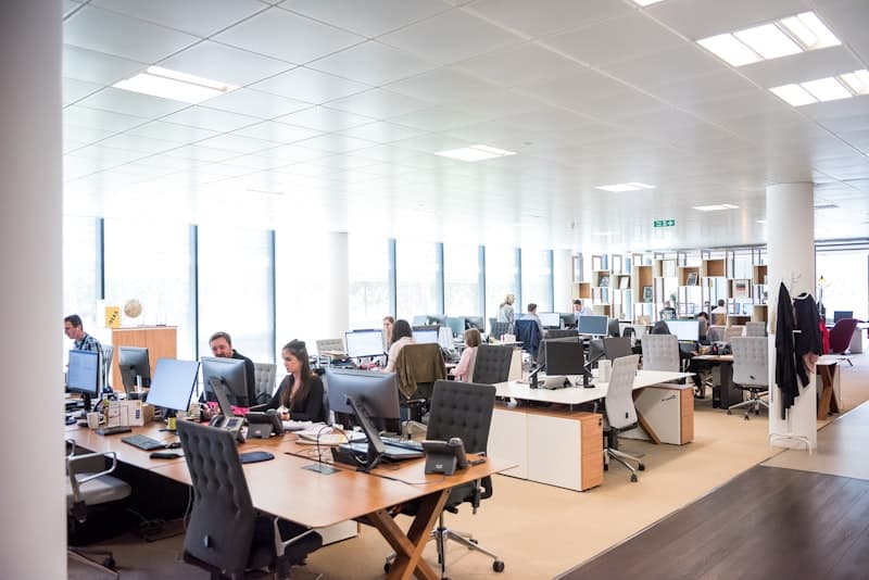 Expert Support and Guidance